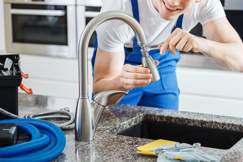 Sprayer Kitchen Faucet - Why It's Important - The Kitchn Pro